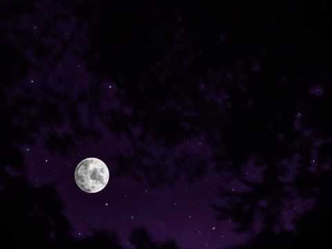 #43 Whisper: Starry Night Sky Relaxation