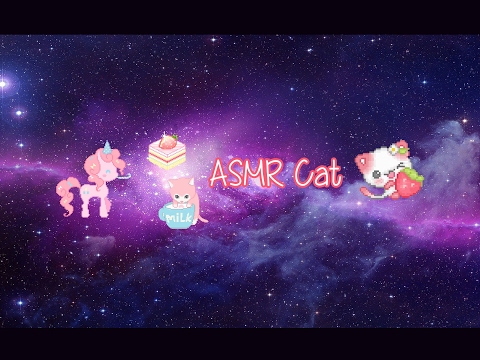 ASMR Cat Live Stream