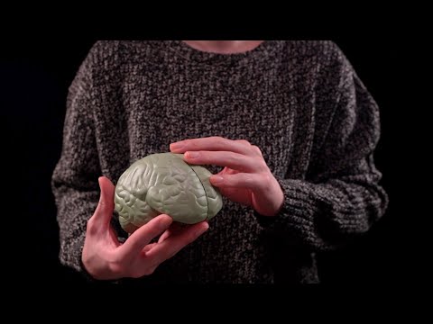 [ASMR]🧠脳神経検査ロールプレイ(筋肉、目など) - Cranial nerve exam Role play(Soft Spoken)