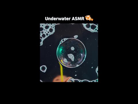 Underwater visual ASMR 전지적 물고기 시점🐟