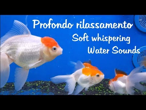 🔹ASMR Profondo rilassamento - Roleplay Documentario 🔹 Soft Whispering / Water Sounds