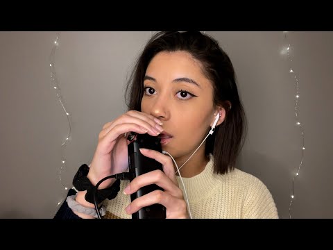 ASMR *Tingle Intensive* Tascam Mic Licking & Mouth Sounds