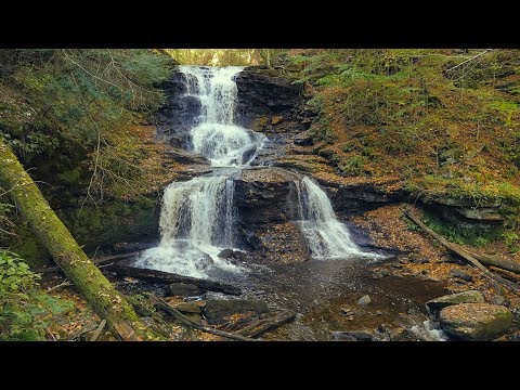 Ricketts Glen Waterfalls | 2 Hours White Noise for Sleep | Autumn 2017