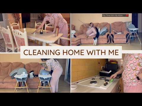 ASMR Clean With Me Kitchen and Living Room - Cat Addition 😅