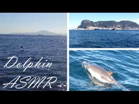 ASMR 3D whisper relaxation for sleeping with DOLPHINS: How to HIJACK your Insomniac mind