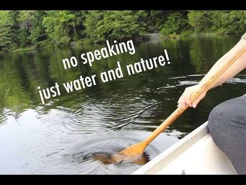 A Quiet Canoe Ride in the Canadian Wilderness (no speaking, water, nature sounds)