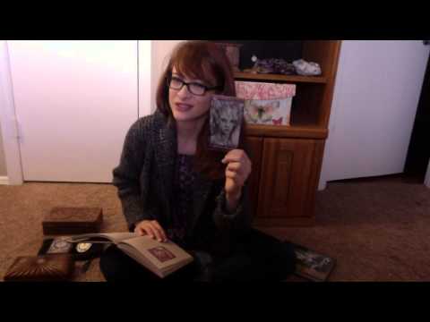 ASMR Role Play Tarot and Oracle Cards Reading