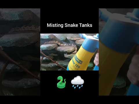 misting snake tanks ASMR