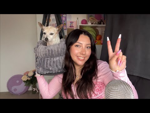 ASMR what i got my dog for her 17th birthday 🎂🐕 ~pet accessories haul~ | Whispered