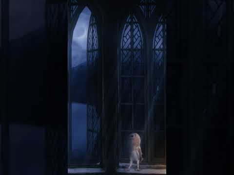 Hogwarts Night Window #shorts ◈ 1min Relaxing ASMR Ambience
