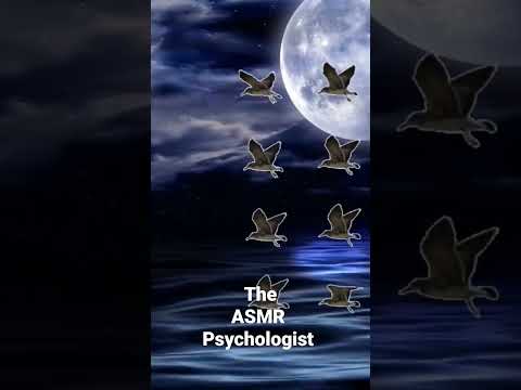 ASMR Sleep Magic II