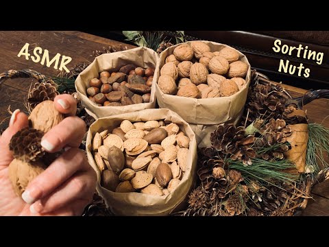 ASMR Sorting nuts (No talking) Nature sounds of bracken and woodland debris. Walnuts, almonds, etc.