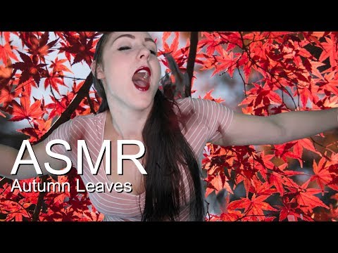 ASMR Autumn is here and the leaves are falling!