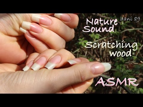 🎧 ASMR: Showing my Natural Nails 🌳 Scratching wood and more! 💛 Nature Sounds (dani 89 in the woods)