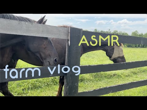 Farm vlog 💚 ASMR  ~ serene sounds + horse story time & dairy farm 🐄 whisper ramble