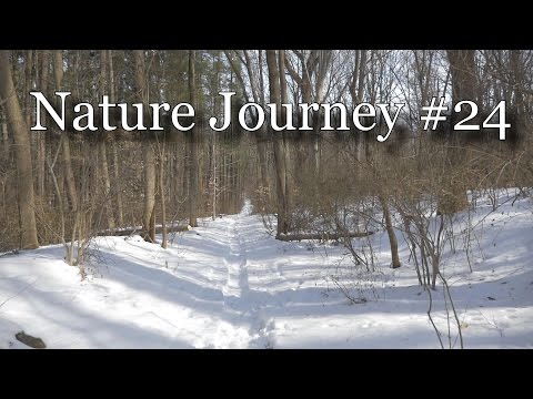 Nature Journey 24 - Rambling in the Snow [ Beholder DS1 / Binaural ASMR ]