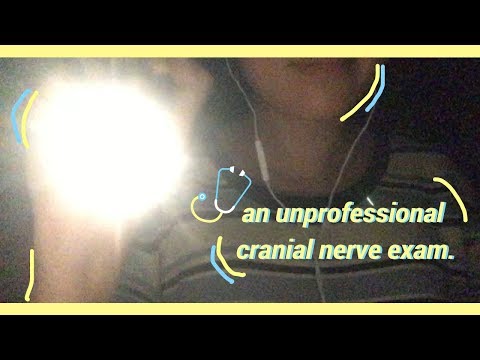 An Unprofessional Cranial Nerve Exam RP ASMR