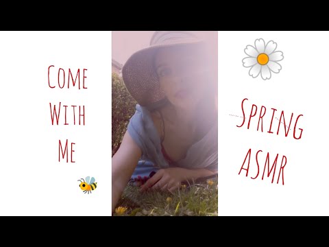 ASMR 🍃 Spring Walk With Me 🌼🐝 🌸Blossom Trees 🌳 UK