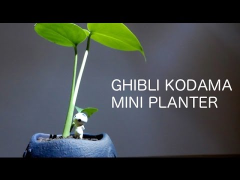 [音フェチ]ジブリプランター「もののけ姫　こだまガジュマルの森」[ASMR]Princess Mononoke Kodama MINI PLANTER[JAPAN]