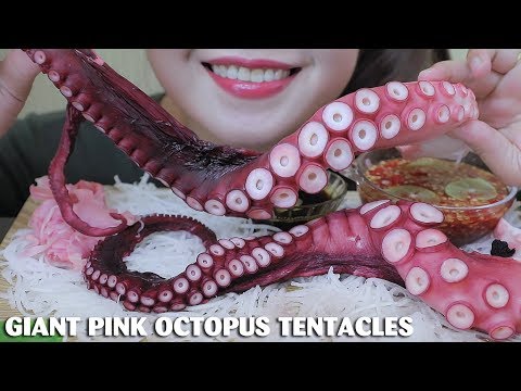 ASMR GIANT PINK OCTOPUS TENTACLES , EXTREME CHEWY EATING SOUNDS | LINH-ASMR