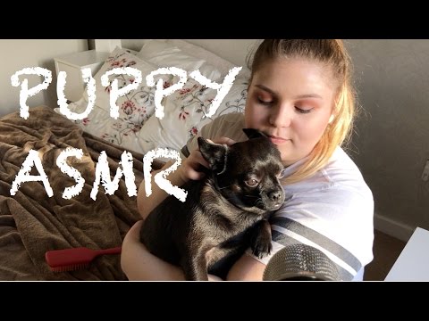 PUPPY ASMR - Whispering - Tapping - Scratching - Crinkling - Puppy Brushing