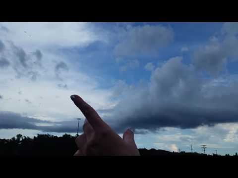 SouthernASMR Sounds Vlog - 8-17-2016 - Roosting Vultures
