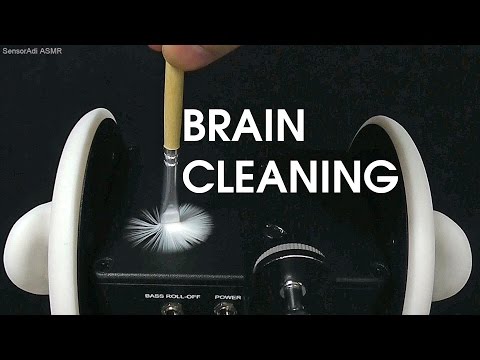 Time to Clean Your Brain / Binaural 3Dio ASMR Role Play Relaxation