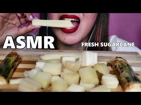 ASMR Crunchy Sugarcane Eating No talking Mukbang