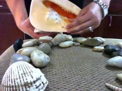 Pebbles and Shells (soft spoken sounds)