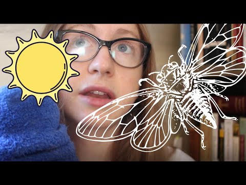 Summertime ASMR ~ A break from the Cicadas ~ writing and rambles ~