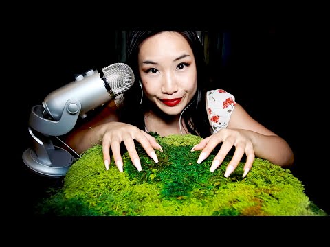 ASMR Scratching and Whispering | Magical Moss Fairy Tale Tingles 🌱🍄🌳