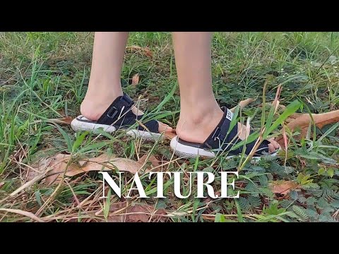 ASMR Triggers in Nature 🌳
