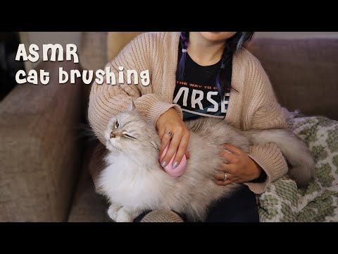 [ASMR] Relaxing Cat Petting & Brushing Session 🐱 (Purrs & Whispers)