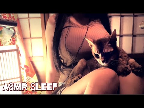 ［Tapping ASMR］ 癒しと眠りのためのリラックス タッピング with 猫