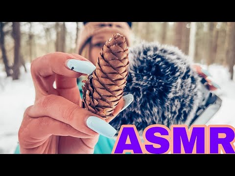АСМР ❄️ Триггеры Лесного Леса ASMR ❄️ Winter Forest Triggers ☃️