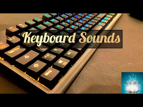 Tingly keyboard sounds forward and backward | ASMR (no talking ⛔)