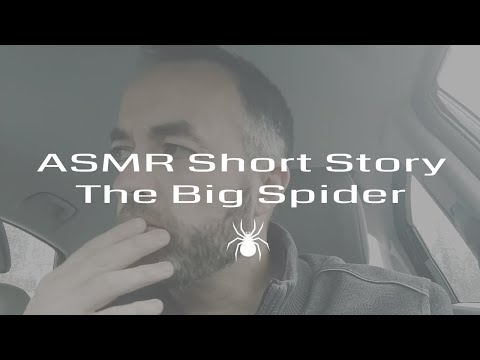 ASMR Short Stories: The Big Spider