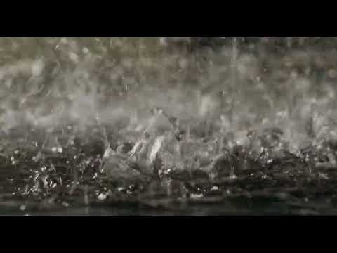 HEAVY RAIN & THUNDERSTORMS SOUNDS | Fall asleep in less then 3 minutes! Rainstorms for relaxations