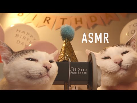 ASMR My Shy Cat's Bday Party Mukbang, Purring, Petting (Eng Sub)