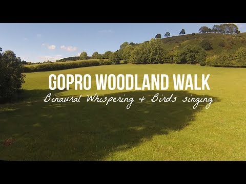Morning Motivation ASMR | GoPro Invigorating Woodland Walk [Binaural]