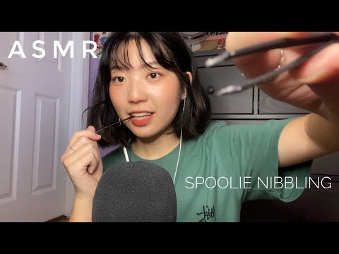 ASMR Spoolie Nibbling, Plucking your Eyebrows