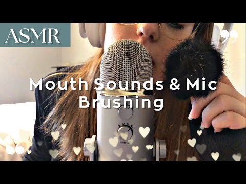 ASMR | Mouth Sounds & Mic Brushing With Fur Ball 💖🎙 (No Talking)