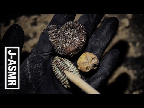 [音フェチ]ゴム手袋をつけて化石発掘🗿🗿🗿 - Excavation Kit(Latex Gloves)[ASMR]
