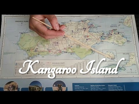 ASMR Kangaroo Island Map Tracing (With Pointer)