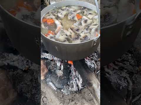 ASMR cooking fish soup on the campfire 🍲🔥