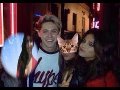 Niall Horan and Selena Gomez Spotted at Katy Perry Concert Review - Katy Perry Prismatic Concert