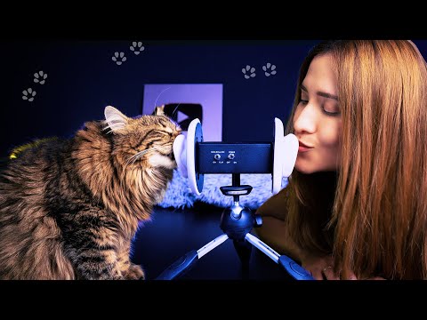 Asmr con mi Gato, para DORMIR RONRONEANDO | ASMR Español | Asmr with Sasha