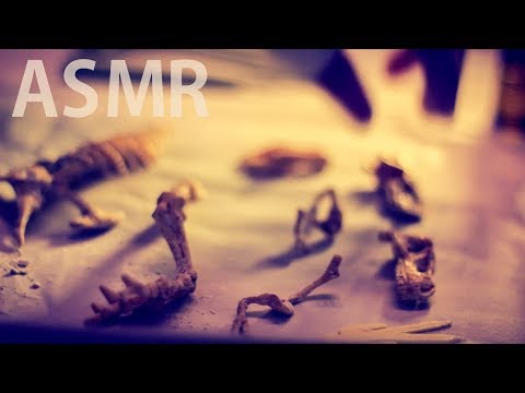 ASMR T-Rex Excavation ⛏️Ep #3 "The Dig-Scrap-Brush Rule" - NO TALKING