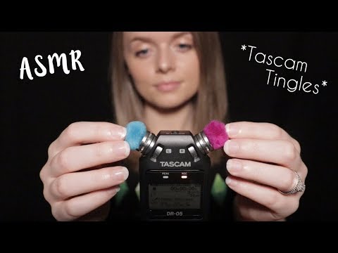 ASMR | Incredible Tascam Tingles (Mic Brushing)