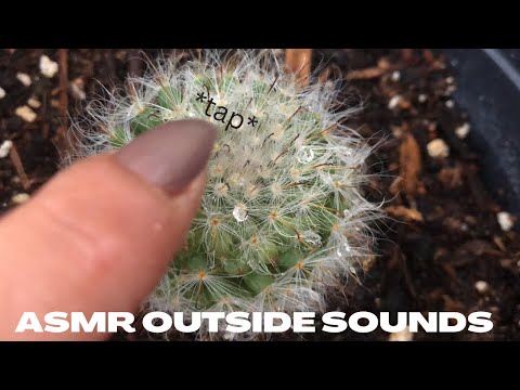 FASTEST ASMR outside sounds + plant collection tour ( tapping & scratching )